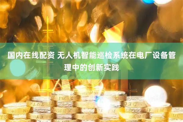 国内在线配资 无人机智能巡检系统在电厂设备管理中的创新实践